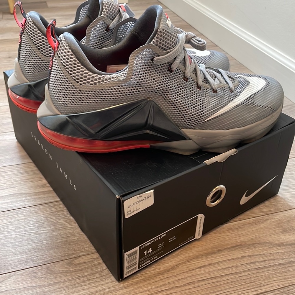 Lebron 12 low